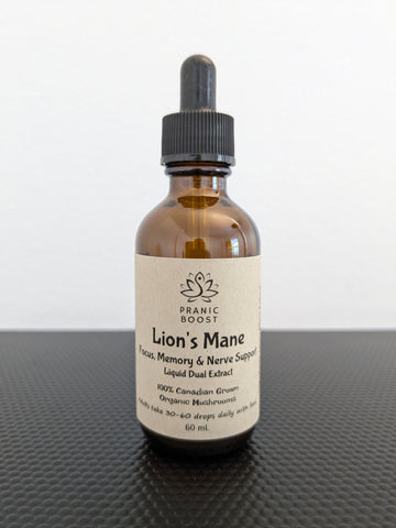 Lion's Mane Tincture