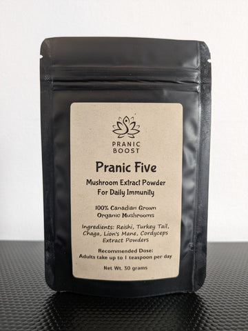 Pranic Five (5 Mushroom Extract Powder)