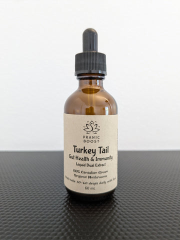 Turkey Tail Tincture